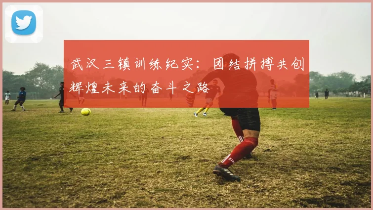 武汉三镇训练纪实：团结拼搏共创辉煌未来的奋斗之路