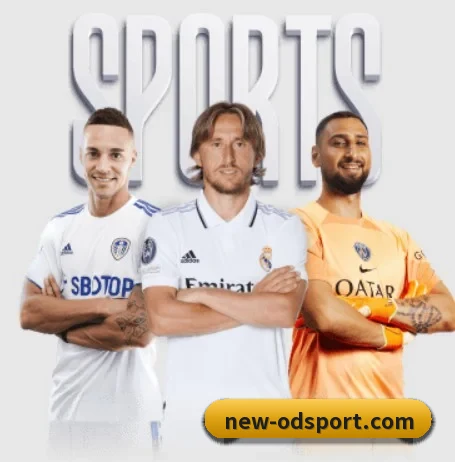 五个功能入口,赛程查询路径更短 - 多运动项目内容板块 | Sports